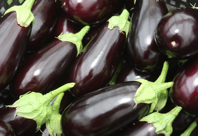Group of purple eggplants with green leaves